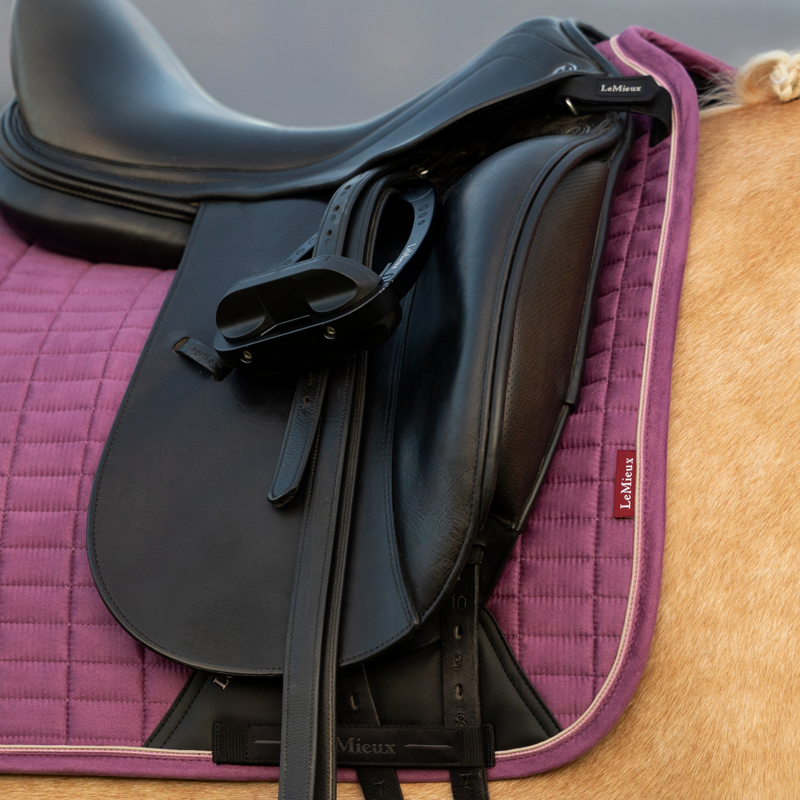 LeMieux Suede Dressage Square - Mallow-1