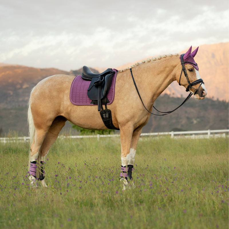 LeMieux Suede Dressage Square - Mallow-2