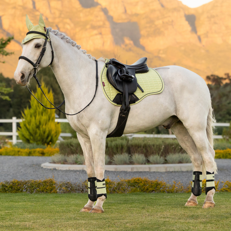 LeMieux Suede GP Square - Macaron-1