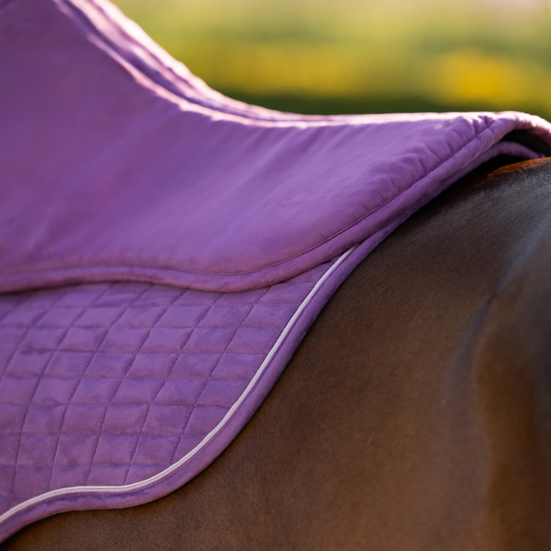 LeMieux Suede Half Pad - Mallow-1