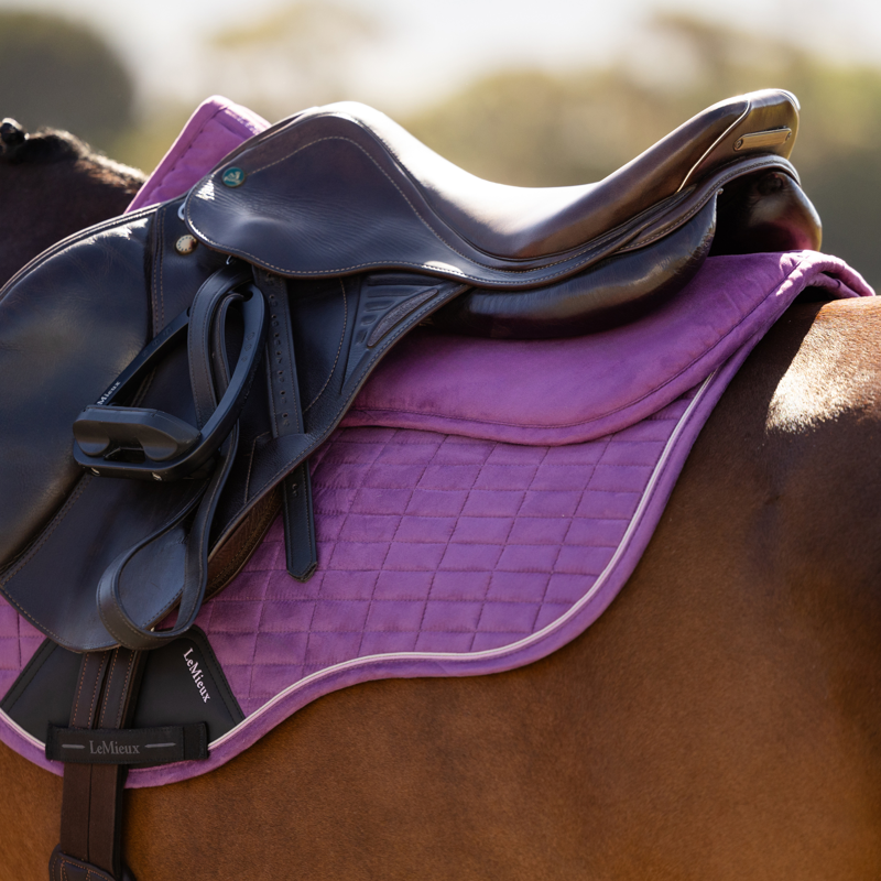 LeMieux Suede Half Pad - Mallow-3