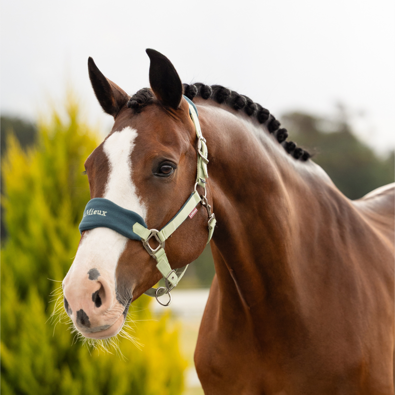 LeMieux Vogue Headcollar and Leadrope - Macaron-2