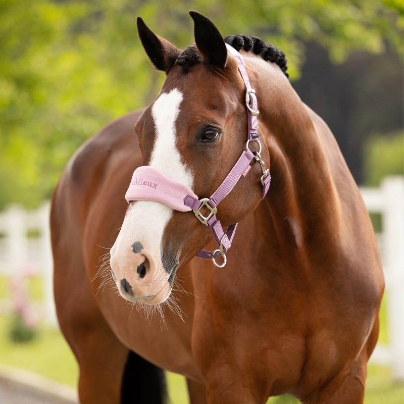 LeMieux Vogue Headcollar and Leadrope - Mallow-1