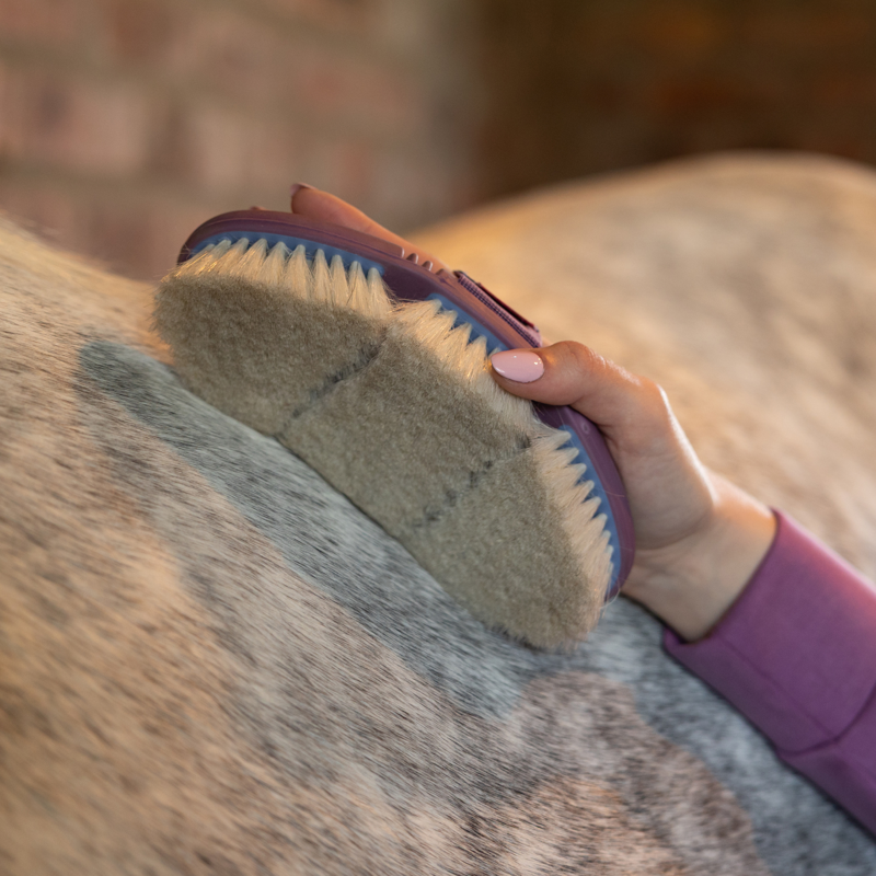 LeMieux Flexi Goat Hair Body Brush - Powder Blue/Mallow-1