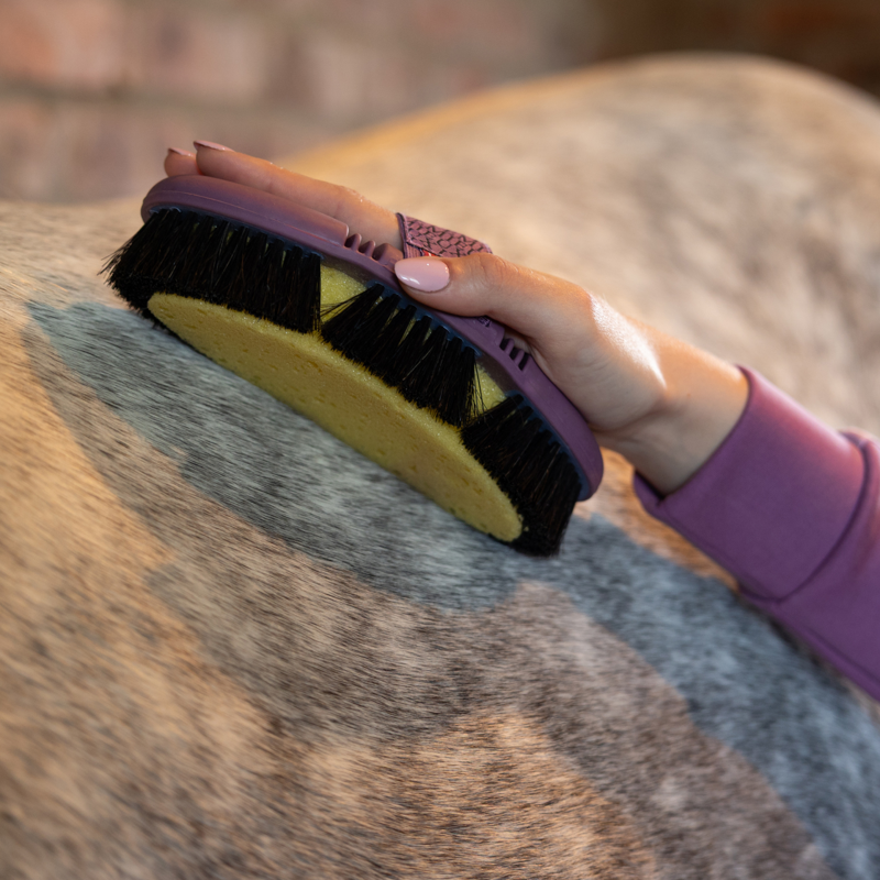 LeMieux Flexi Sponge Brush - Powder Blue/Mallow-1