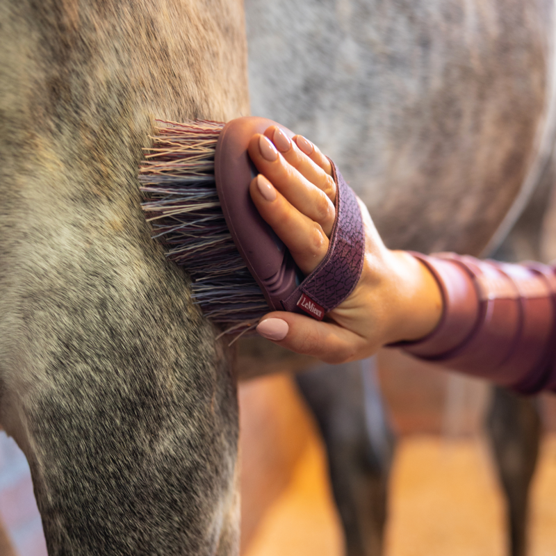 LeMieux Flexi Flicky Brush - Powder Blue/Mallow-2