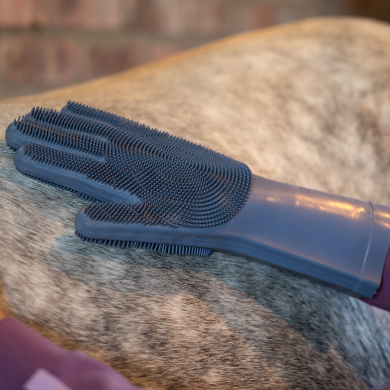 LeMieux Washing Glove - Powder Blue-4