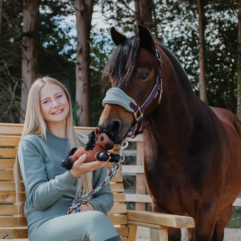 LeMieux Harlow Tiny Beanie Pony - Rolo-1