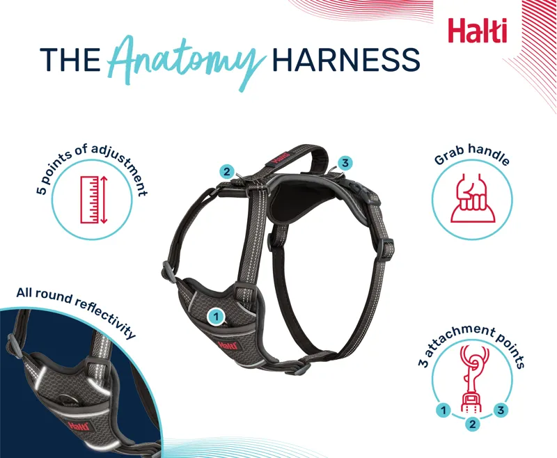 Halti Anatomy Harness - Teal-1