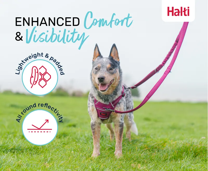 Halti Anatomy Multi Lead - Magenta-4