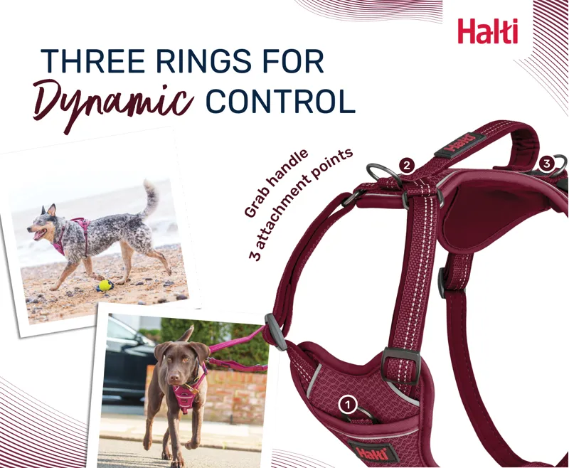 Halti Anatomy Harness - Grey-3