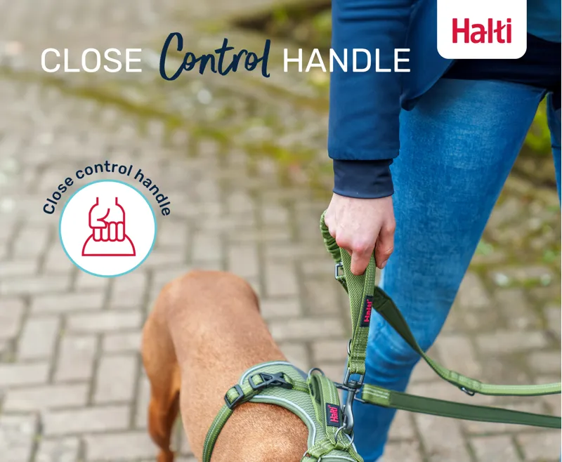 Halti Anatomy Multi Lead - Green-3