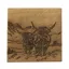 Selbrae House Single Oak Coaster - Scenic Highland Cow