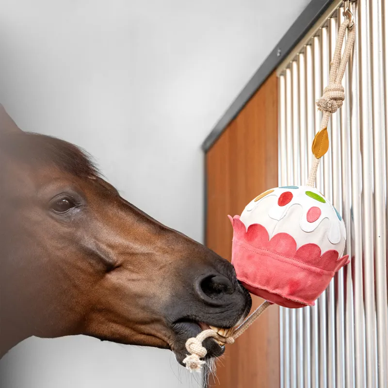 LeMieux Horse Toy - Cupcake-1