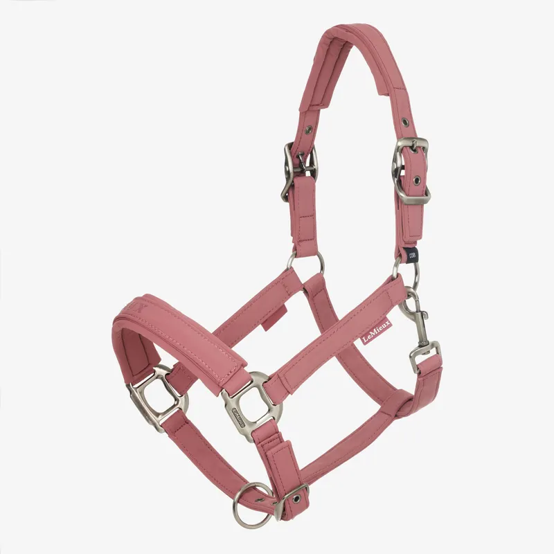 LeMieux Essence Headcollar - Rosewood