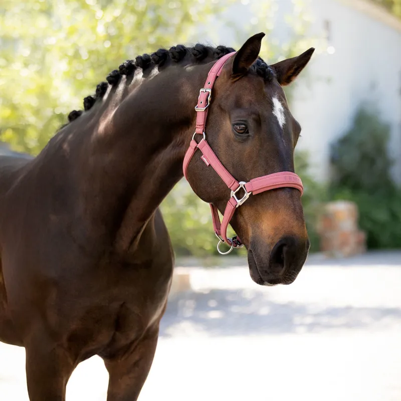LeMieux Essence Headcollar - Rosewood-1
