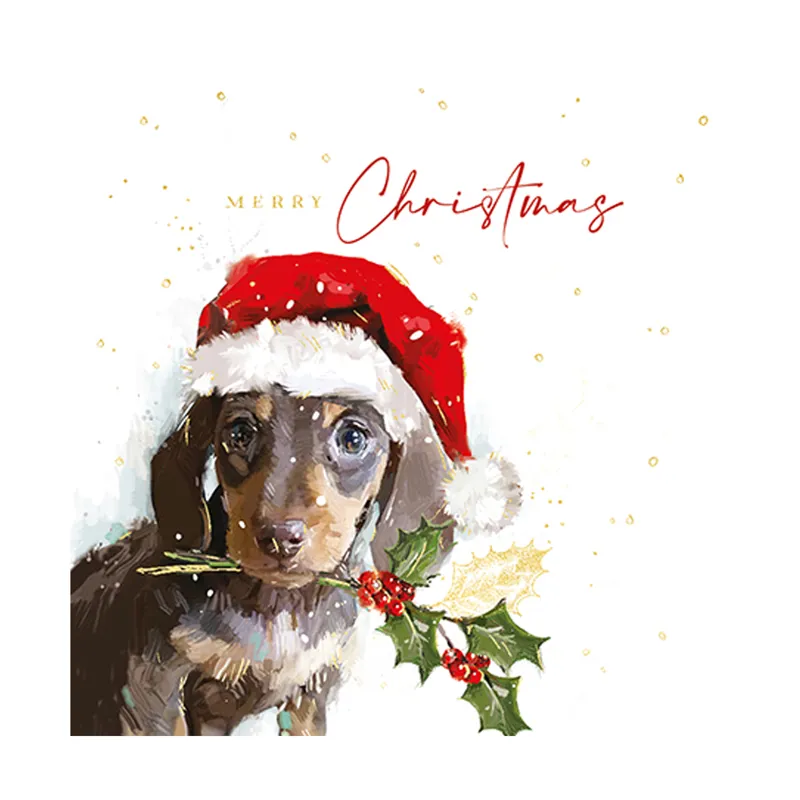 Ling Design Ready For Christmas Box of Cards