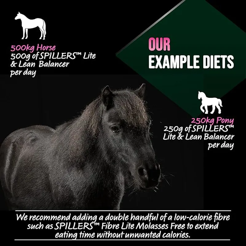 Spillers Lite and Lean Balancer - 20kg-2