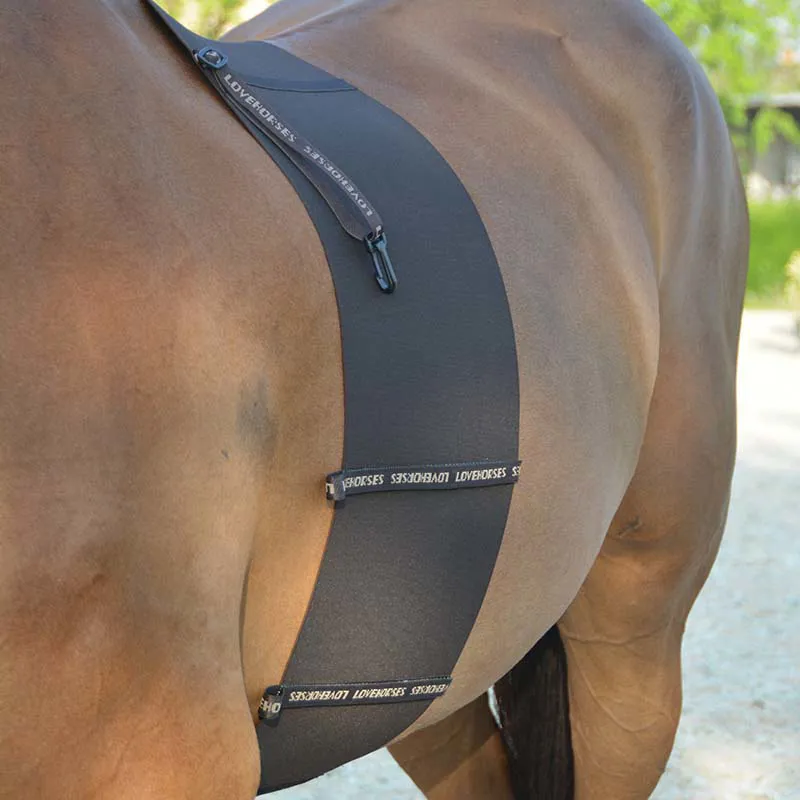 LoveHorses Deluxe Body Bandage - Dark Brown