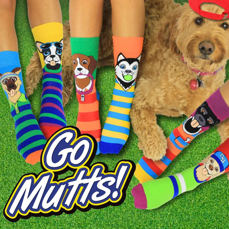 Sock Academy Go Mutts Odd Socks Gift Box - 6 Pack-1