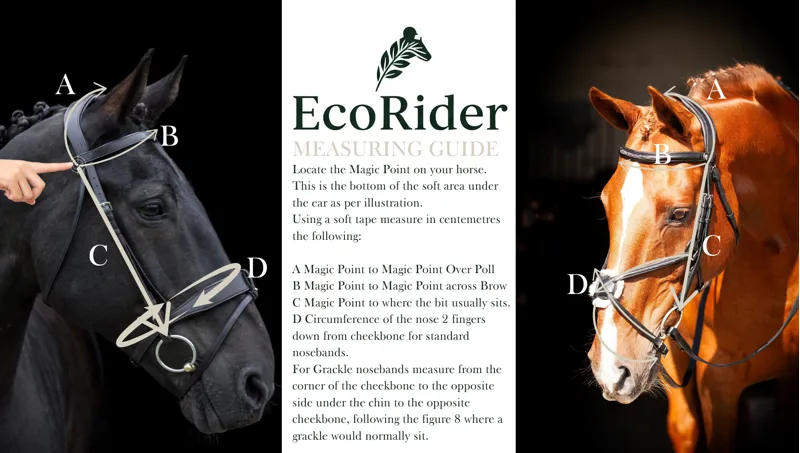 EcoRider Show Comfort Bridle - Brown-1