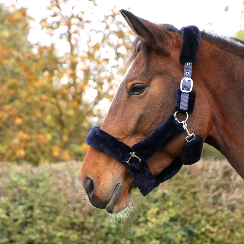 Hy Equestrian Fab Fleece Headcollar - Navy-1