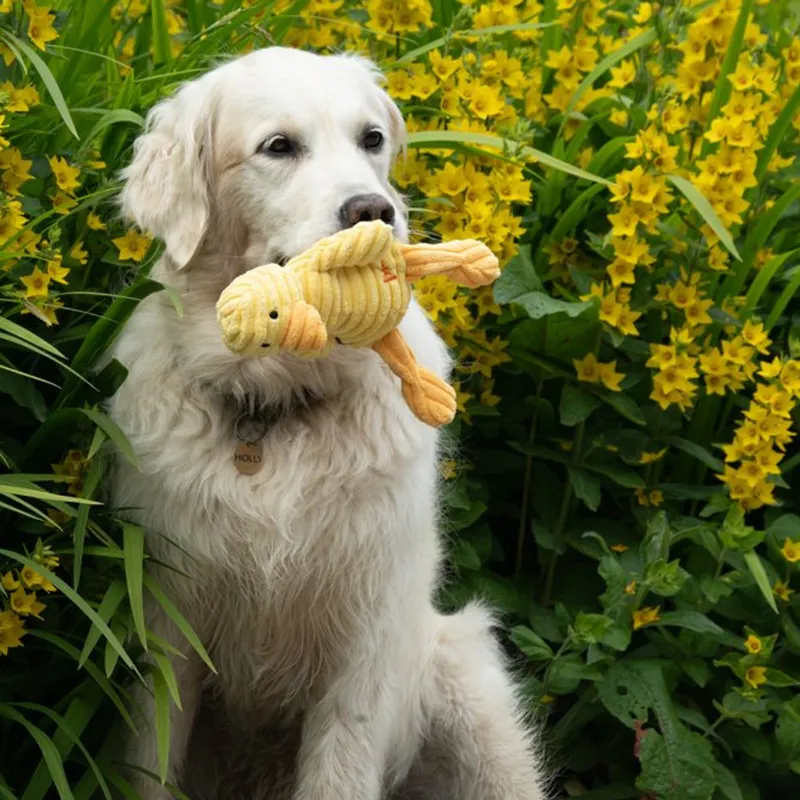 Petface Denny Duckling Plush Toy-5