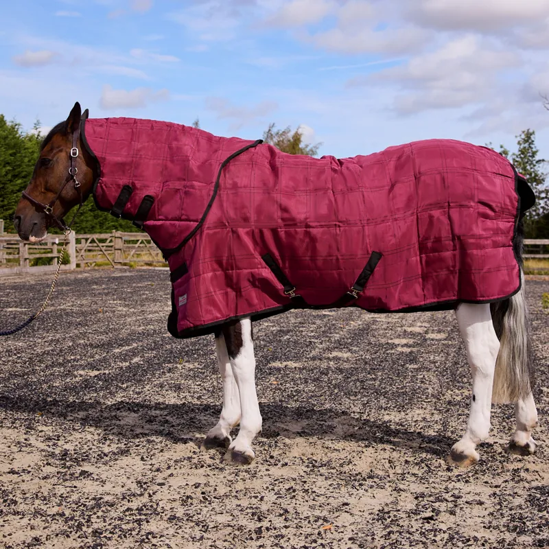 R and R 200g Stable Rug and Neck Set 