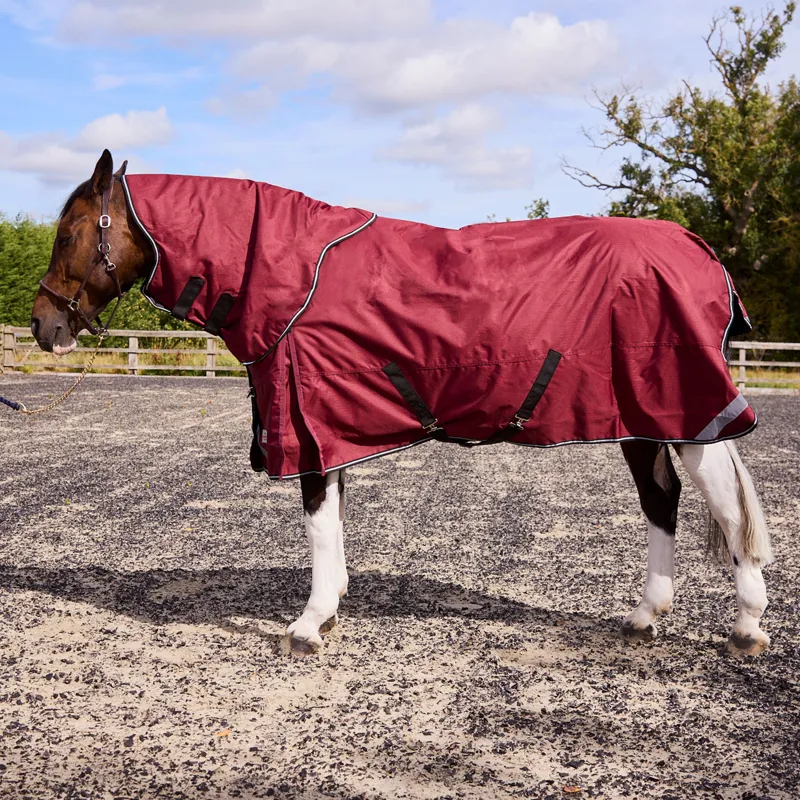 R and R Burghley 100g Detachable Neck Turnout Rug 