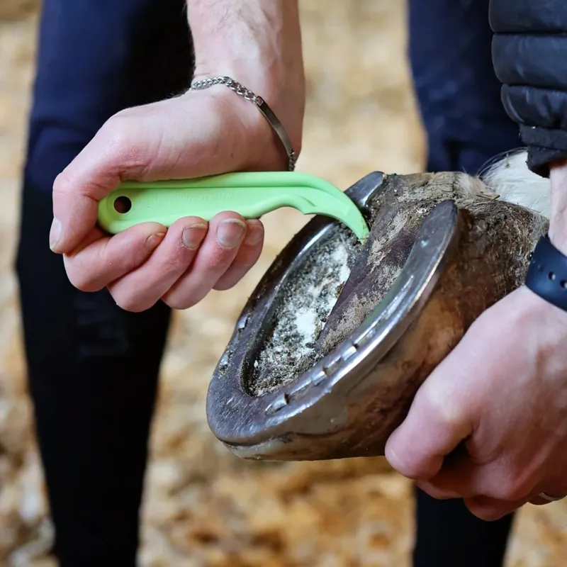 Red Gorilla Hoof Pick - Pistachio-1