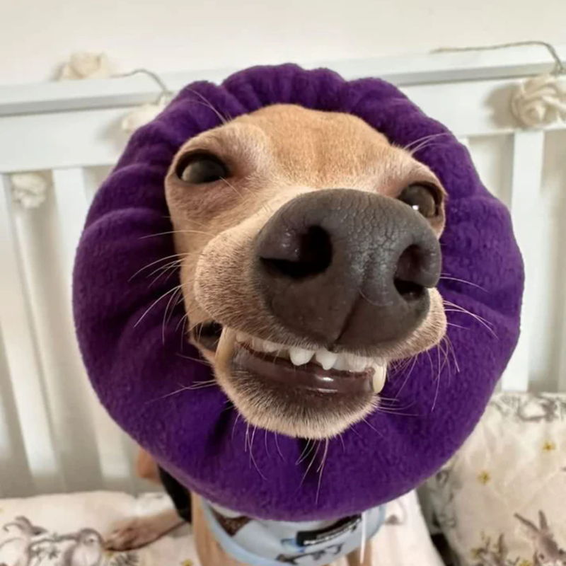 Soothe and Settle Hush Muff - Plum Purple-3