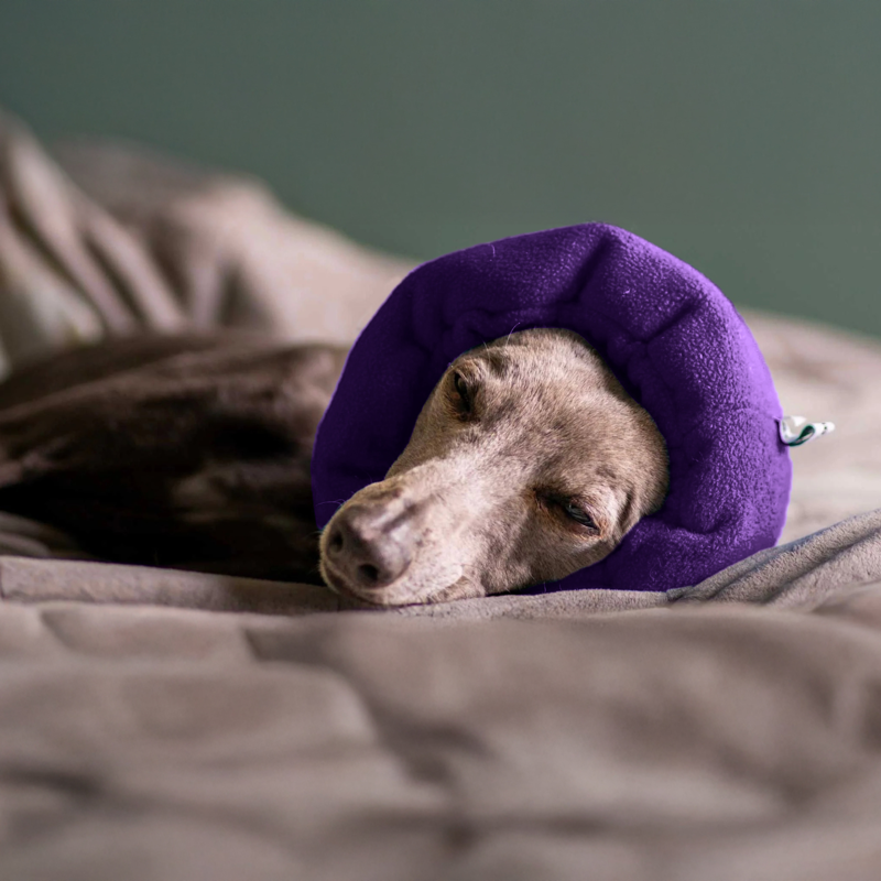 Soothe and Settle Hush Muff - Plum Purple-2