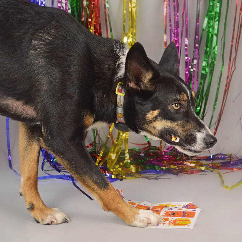 Scoff Paper Orange Happy Birthday Edible Card-4