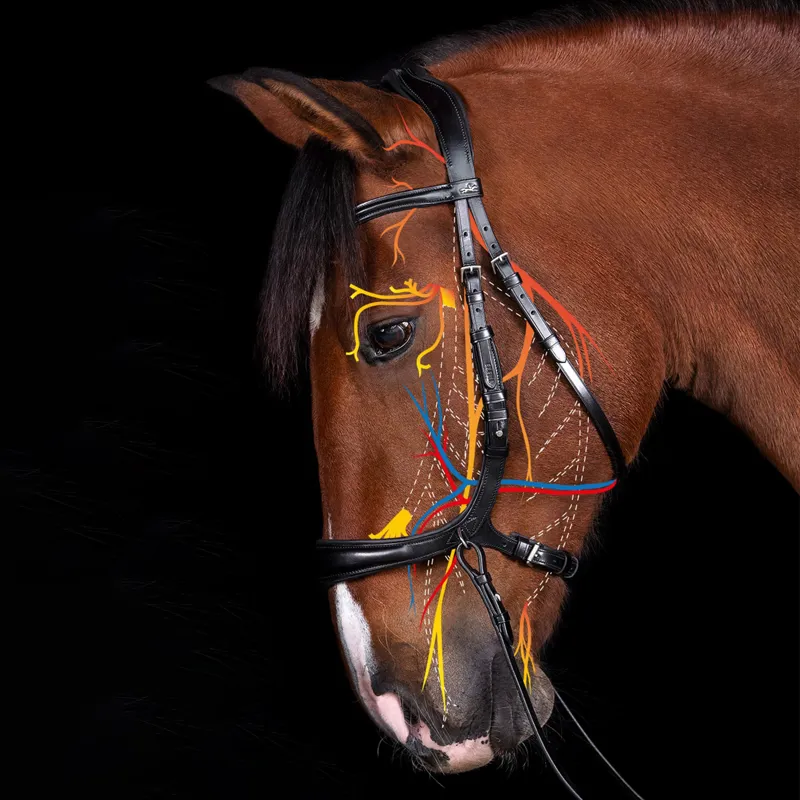 Schockemohle Equitus Theta Bridle - Black-3