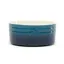 Scruffs Ombre Food Bowl - Blue
