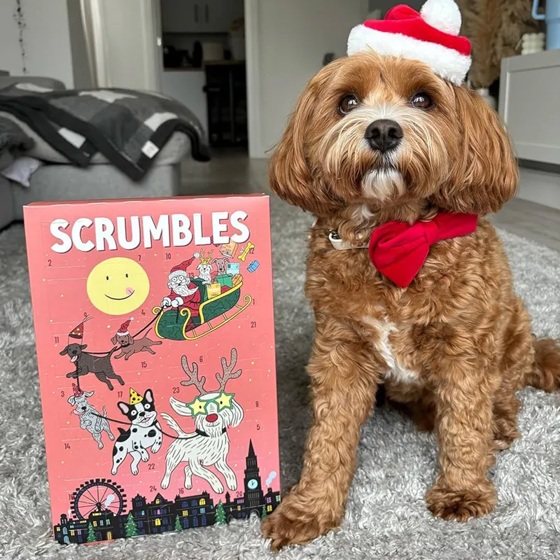 Scrumbles Dog Advent Calendar-1