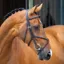 Lusso Grackle Bridle - Havana