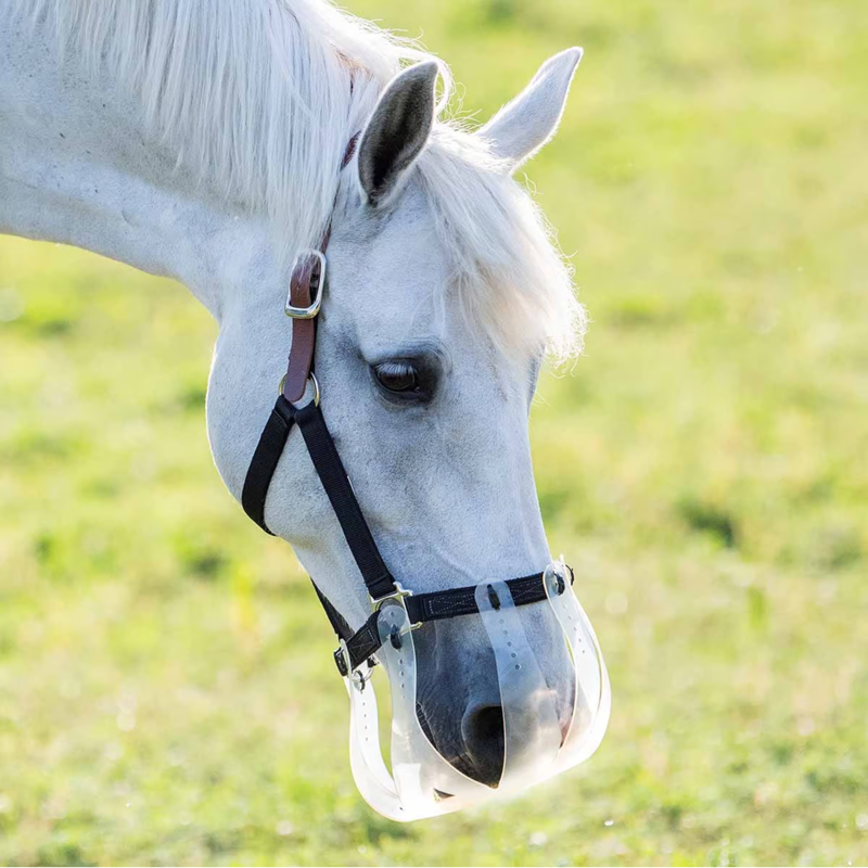 ThinLine Flexible Filly Grazing Muzzle - 2.5cm-1