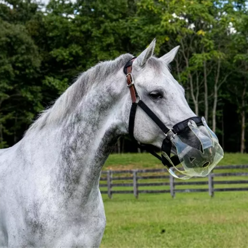 ThinLine Flexible Filly Grazing Muzzle - 2.5cm-2
