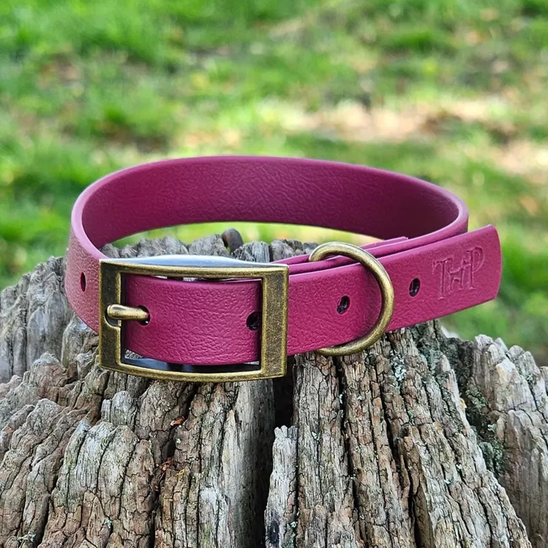Trinkety Paws Biothane Waterproof Dog Collar - Burgundy-1