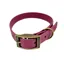 Trinkety Paws Biothane Waterproof Dog Collar - Burgundy