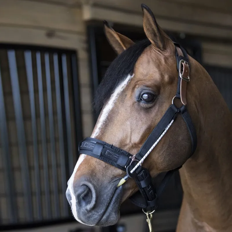 ThinLine Busy Buddy - Horse Calmer for Halter-2