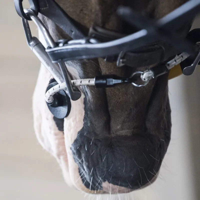 ThinLine Busy Buddy - Horse Calmer for Halter-1