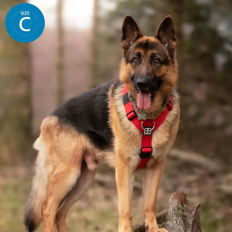 BullyBillows TRI-Harness - Black-8