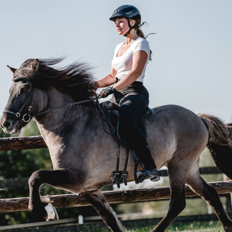 Uvex Perfexxion III Riding Helmet - Black Matt-5