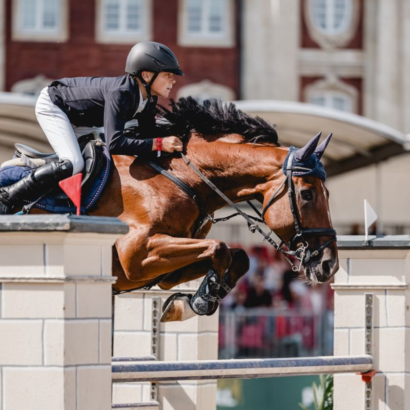 Uvex Perfexxion III Riding Helmet - Black Matt-7