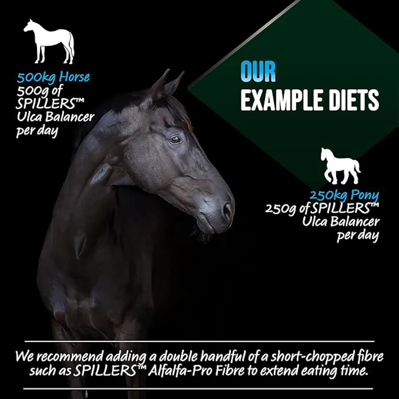 Spillers Ulca Balancer - 15kg-2