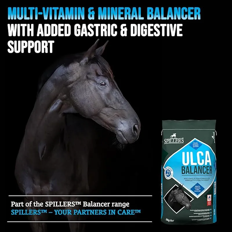 Spillers Ulca Balancer - 15kg-4