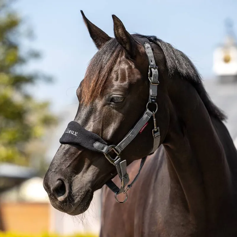 LeMieux Vogue Headcollar and Leadrope - Black-1