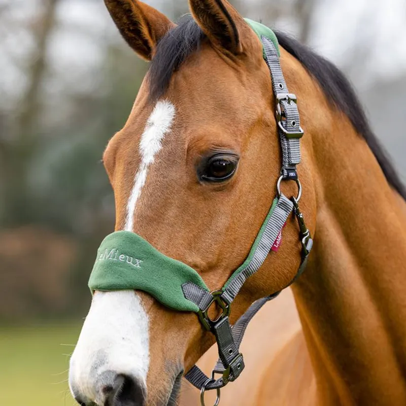 LeMieux Vogue Headcollar and Leadrope - Hunter Green-1
